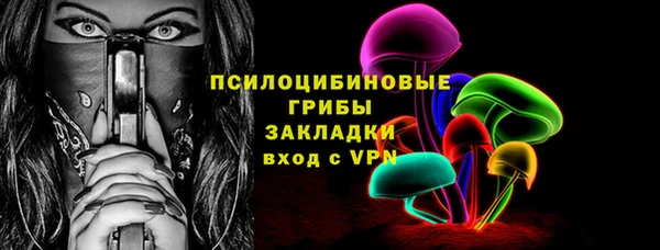 сатива Няндома