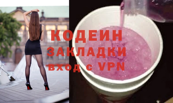 сатива Няндома