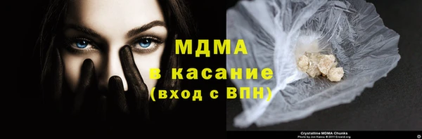 сатива Няндома