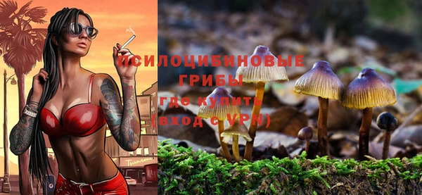 мдпв Нязепетровск