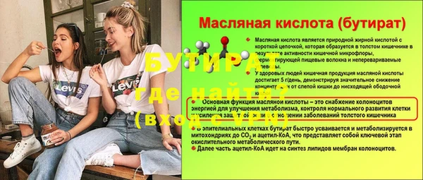 сатива Няндома
