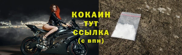 сатива Няндома