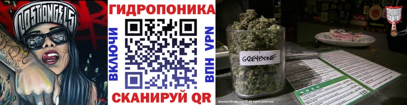 МЕГА как зайти  Почеп  Канабис планчик 